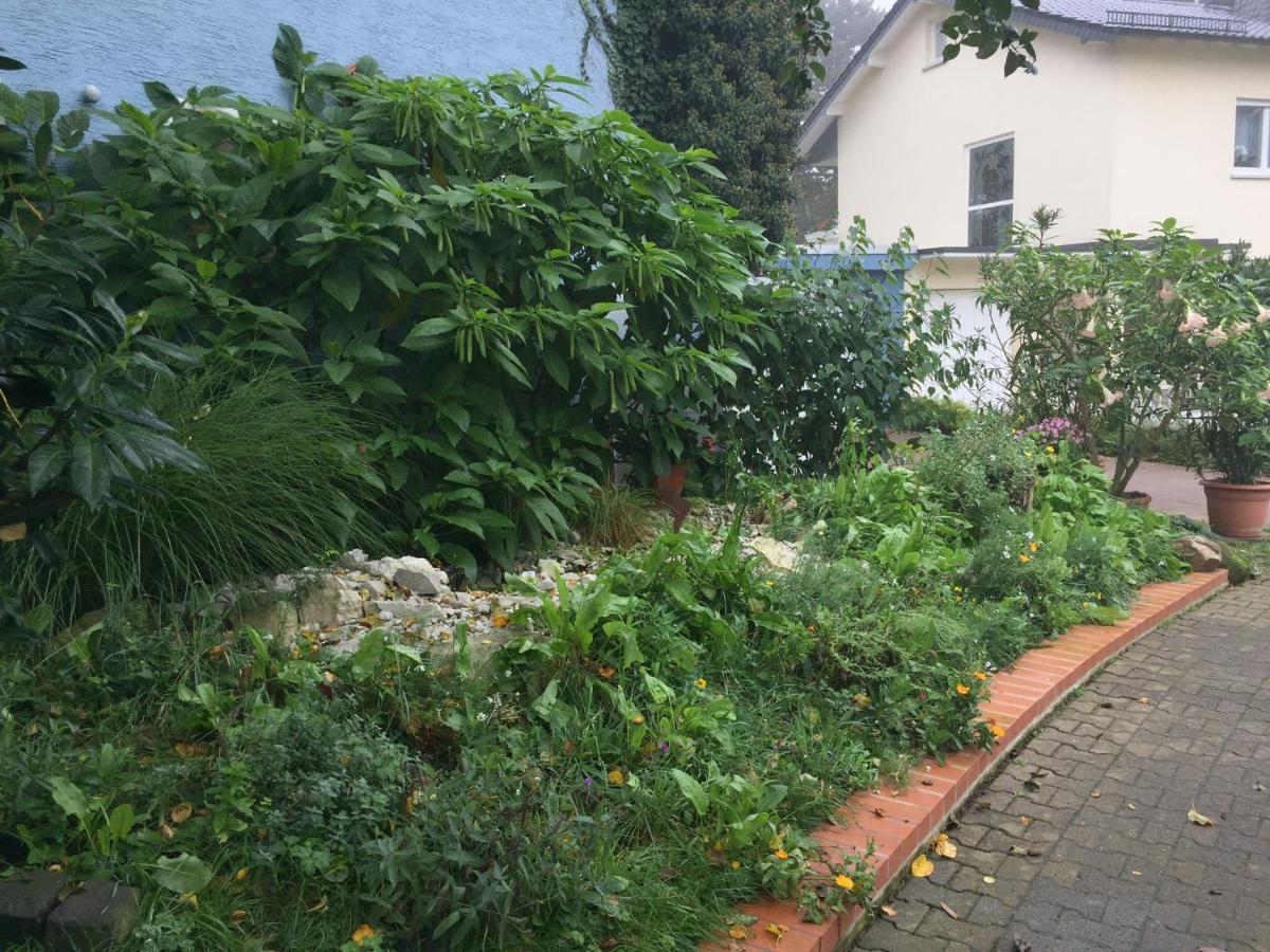 Apartamento Blaues Haus Niederdorfelden Exterior foto